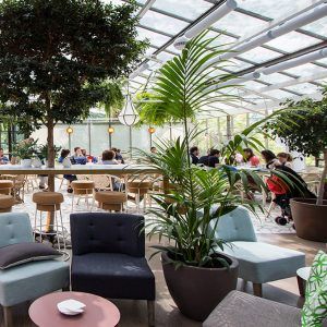 Restaurante el Invernadero de los Peñotes, espacio para eventos, grabaciones, showroom, conciertos en madrid.