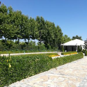 Golf Olivar espacio para eventos, grabaciones, showroom, conciertos en madrid.