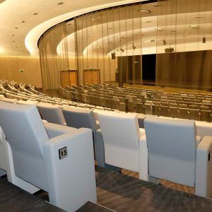 Auditorio Espacio Fundación Pablo VI, ideal para eventos, reuniones, congresos, exposiciones y sesiones formativas.
